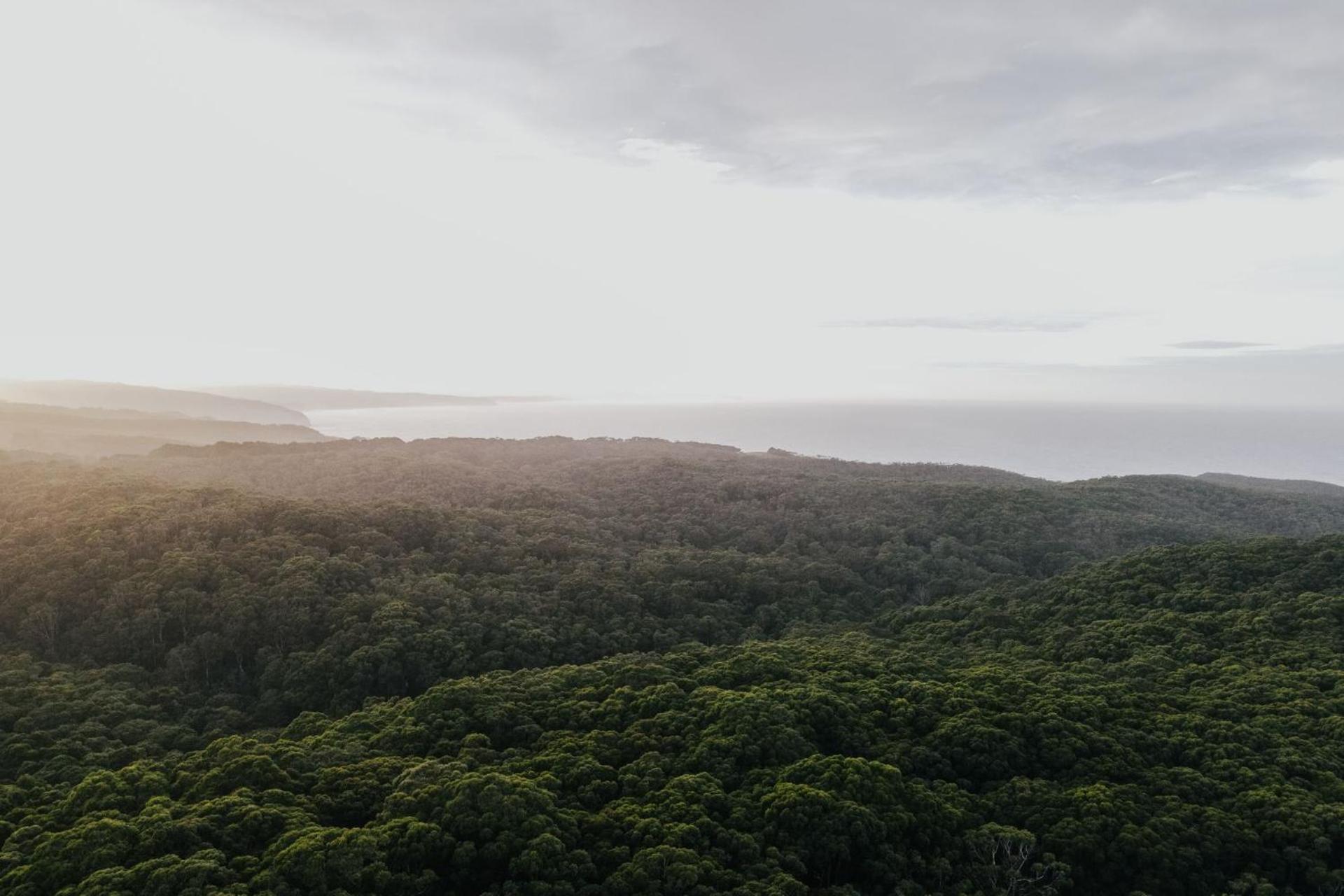 Alkina Lodge Nuru Wattle Hill Εξωτερικό φωτογραφία
